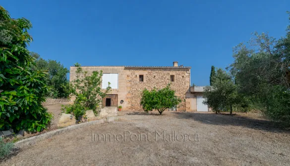 Rustic finca in Muro — photo 1