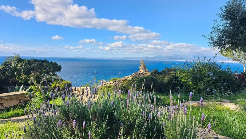 Villa for sale in Cala Blava, Llucmajor, Mallorca — photo 2