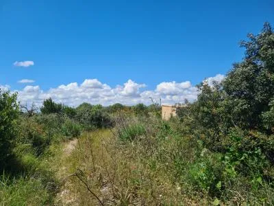 Country House - Manacor, Plot Surface 1650m² — photo 8