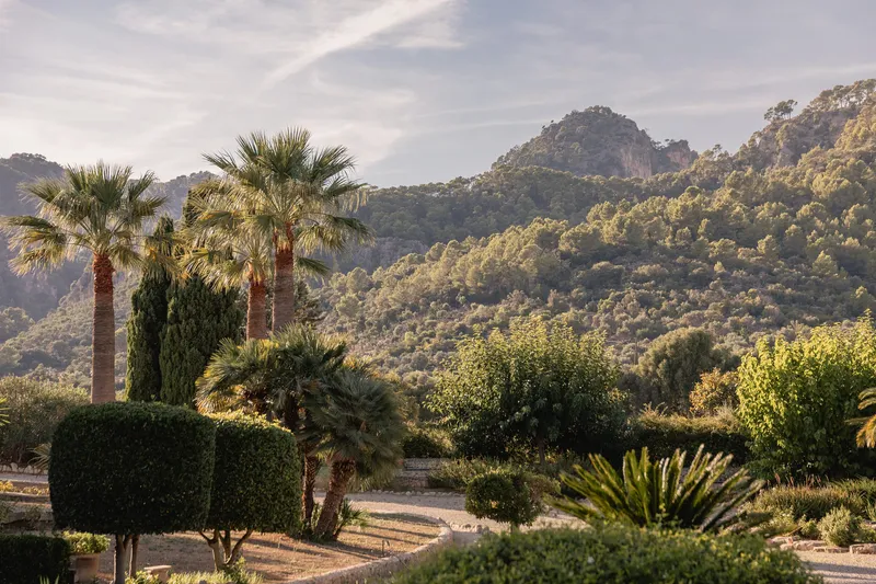 Private estate with Tramuntana views and olive grove — photo 8