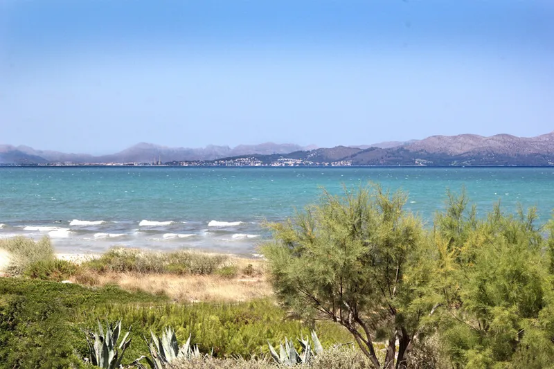 Spacious Detached House in Second Line of Beach with Holiday Licence, Local Licence and Lots of Possibilities! — photo 3