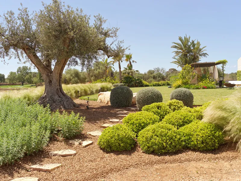 Remarkable finca with guest house in Llucmajor — photo 12