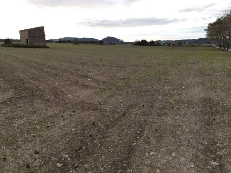 2 plots with 31400m2 buildable in Sineu — photo 4