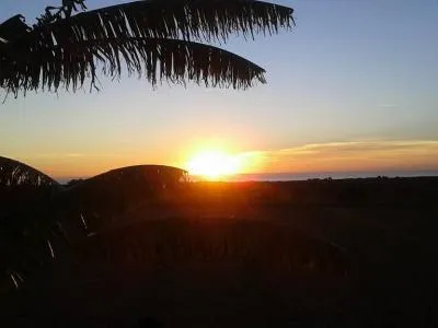 Prime location near Porto Cristo — beautiful finca for sale — photo 8