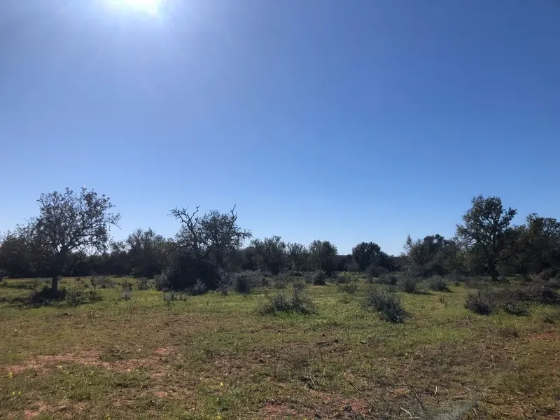 Land in Porreres, Mallorca — photo 4