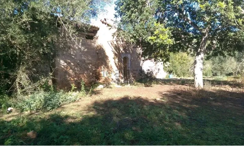 Rustic estate with tool shed — photo 4