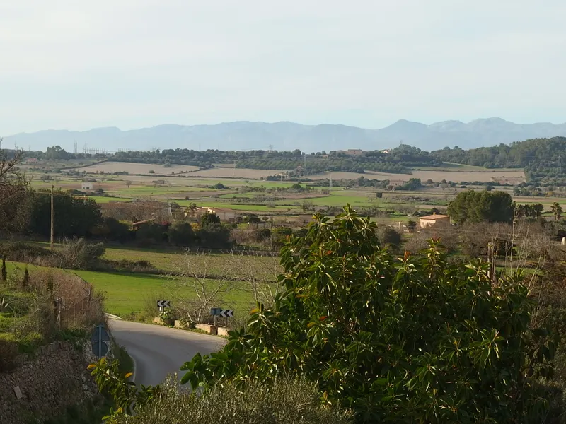 IA-1107 3-bedroom, 2-bathroom property in Maria de la Salud 890.00 — photo 3