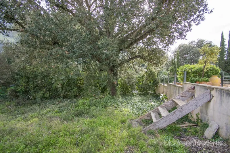 Plot for sale in Pollença, Mallorca, Baleares, Spain — photo 6