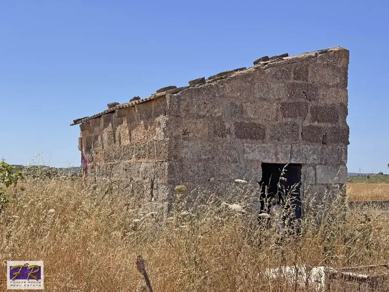 Rustic Finca with Legal Shed and Well in Sa Pobla — photo 9