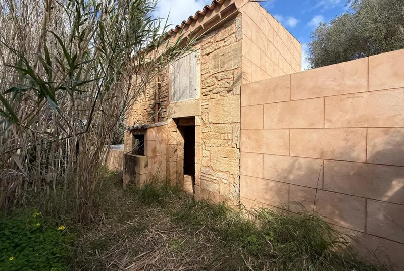 Rustic finca with cottage in Ses Salines — photo 2