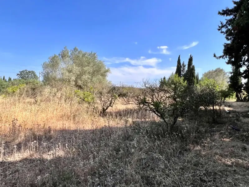 On the outskirts of Muro, next to the train station, we have this beautiful rustic estate with about 7,200 m2 of land and about 40 m2 — photo 11