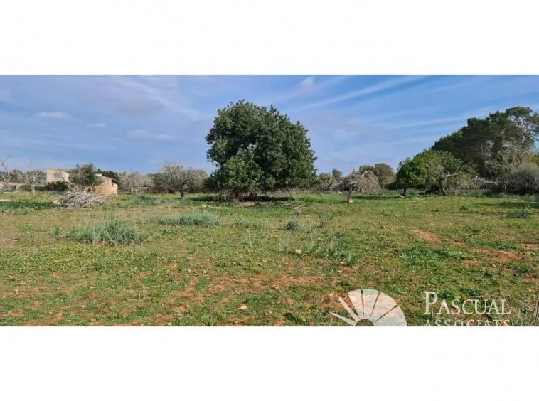 Finca with project for sale in Santa Margalida — photo 4