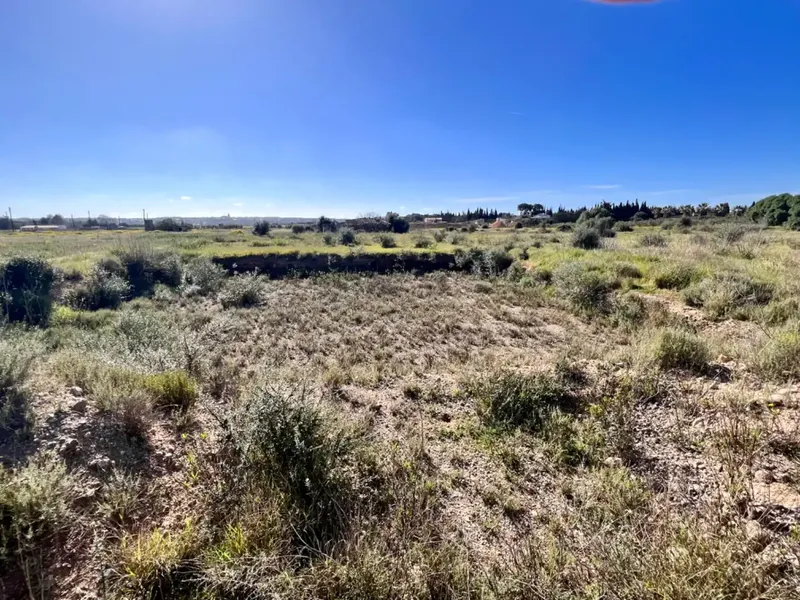 Rustic estate between Sa Pobla and Muro, with over 21,700 m2 of land and several constructions, one of them a large safareig and the other a — photo 7