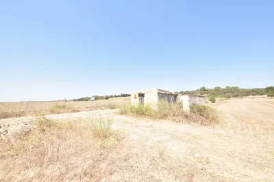 Building Plot in Manacor — photo 6