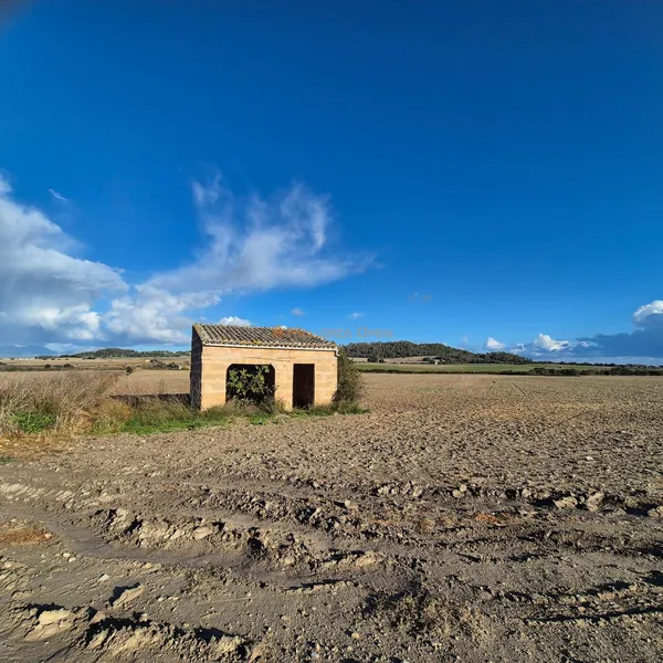 Buildable rustic plot for sale in Montuïri — photo 8