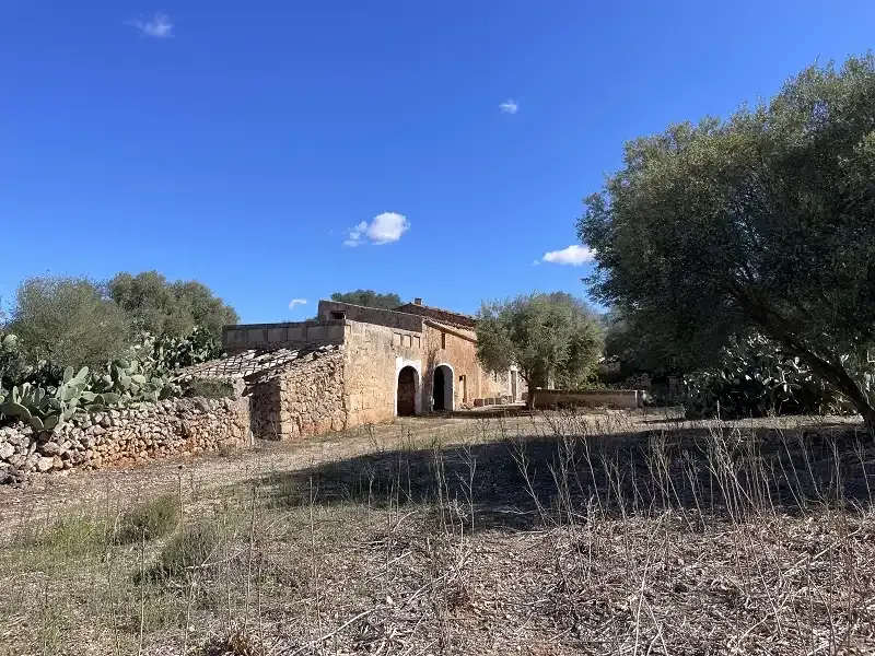 Old finca from 1870 for complete renovation — photo 3