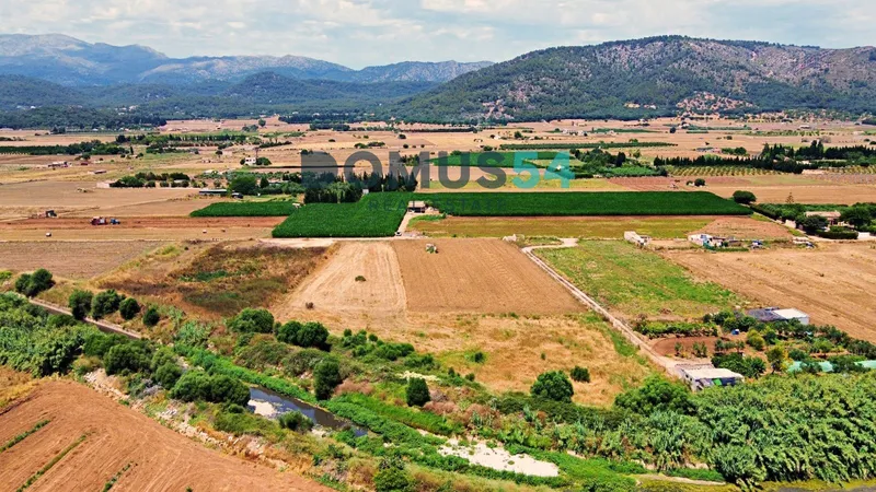 plot in Sa Pobla — photo 5