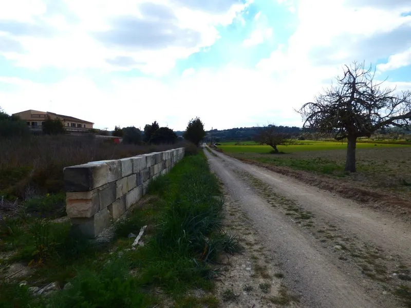 Rural or Farmhouse in Sant Joan, Province of Balearic Islands — photo 3