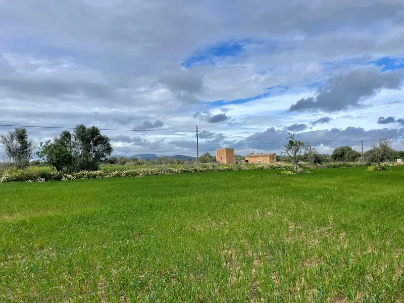Buildable plot in a flat and quiet location between Campos and Sa Ràpita — photo 2