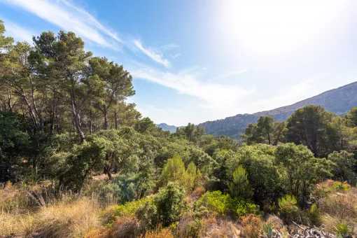Puigpunyent, a hidden jewel in the heart of the Tramuntana mountains — photo 12
