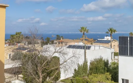 Spacious villa in Bahia Blava for sale to renovate with pool — photo 6