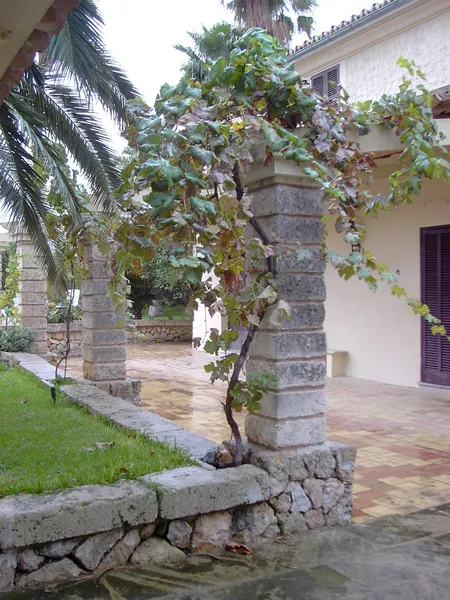 Country house near Inca, Puig Santa Magdalena — photo 8