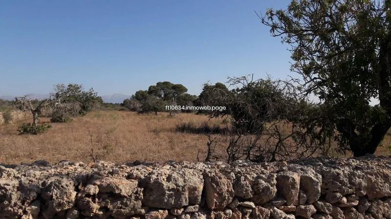 Rural or Farmhouse in Algaida, Province of Balearic Islands — photo 10