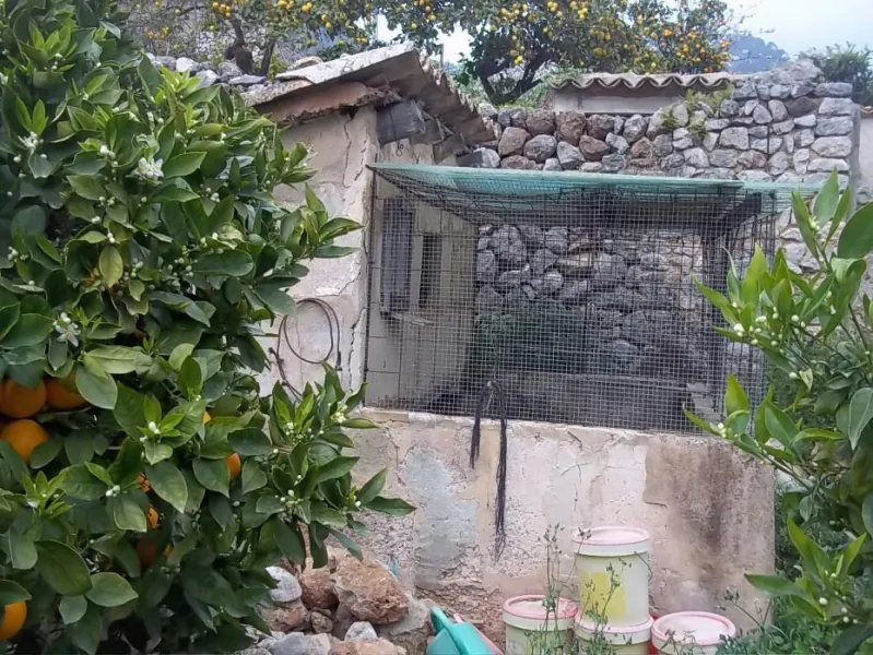 Garden plot in Fornalutx — photo 4