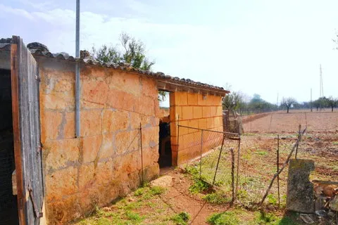 Land in Buger, Mallorca — photo 8