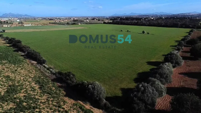 plot in Sa Pobla — photo 4
