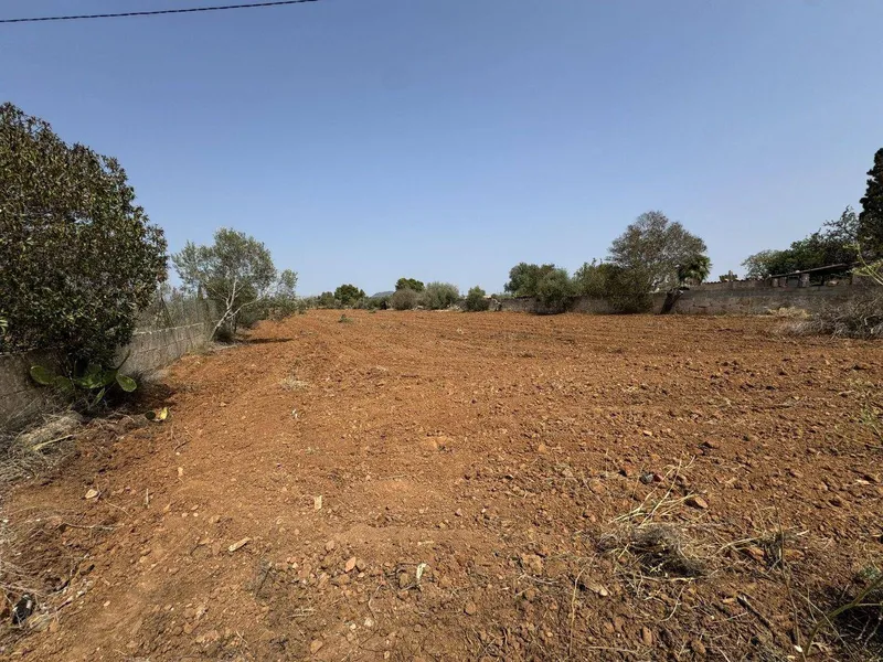Magnificent property in Llucmajor — photo 4