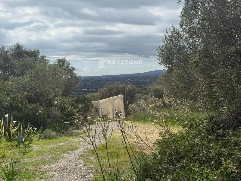Plot — photo 1