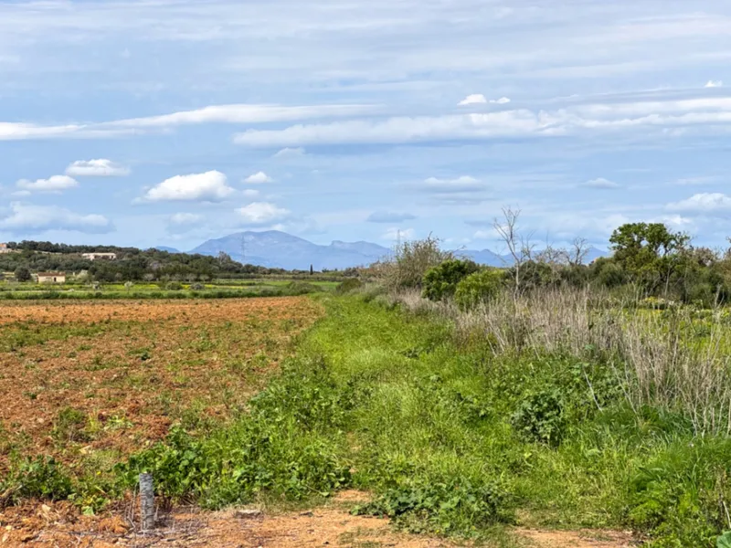 Beautiful rustic finca with great potential and panoramic views — photo 7