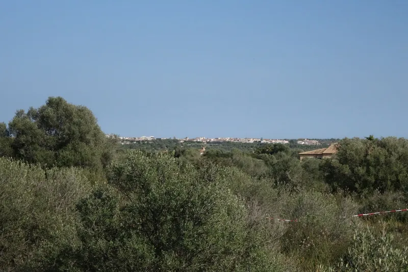 Large building plot near Santanyí with approved project and church views — photo 4