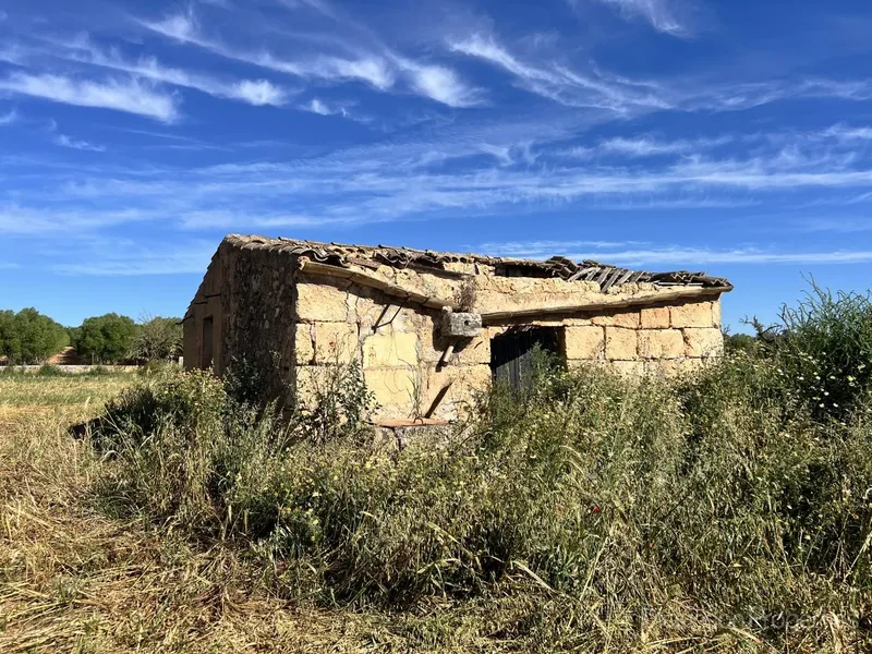 Land for sale in Ariany, Mallorca, Baleares, Spain — photo 3