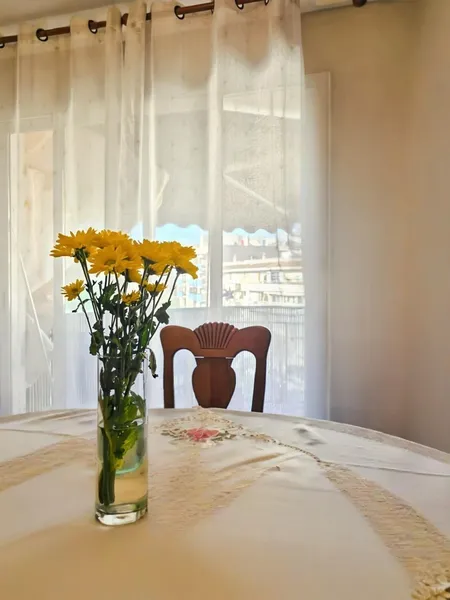 Rent with Option to Buy - Penthouse in Son Espanyolet - Palma Center — photo 4