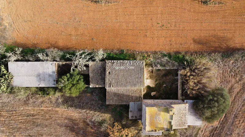 Rustic finca in Campos — photo 4