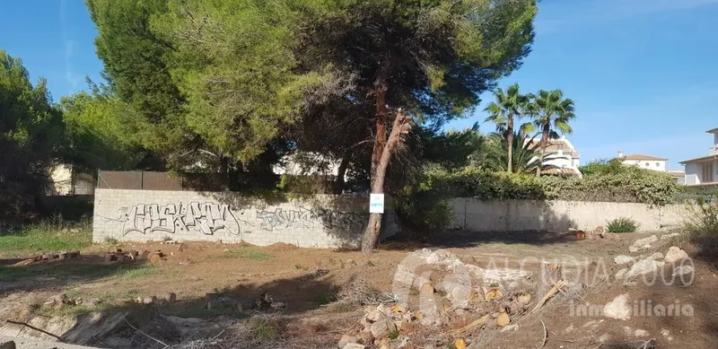 Land — photo 3