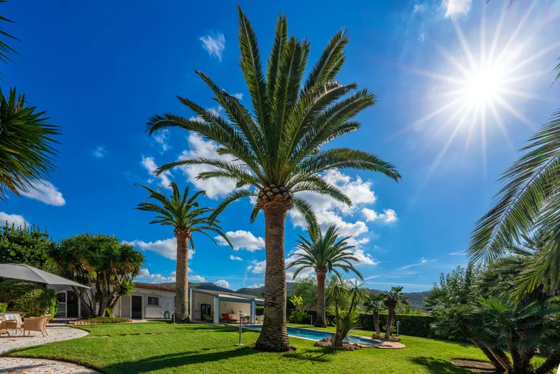 Finca with garden and pool near the harbor — photo 4
