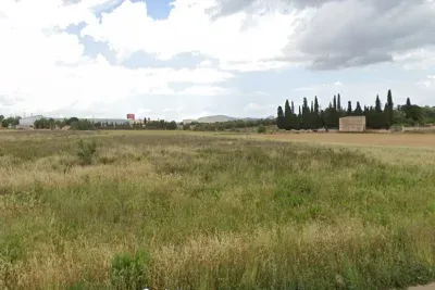Land for sale in Manacor — photo 3
