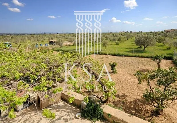 Rustic Finca — photo 7