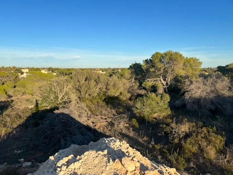 Fantastic land of about 50,000m2 with license to build a few minutes from the beach of [...] — photo 3