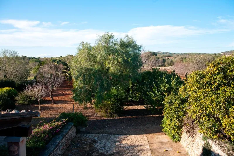 Luxury home in Santanyí, Province of Balearic Islands — photo 11