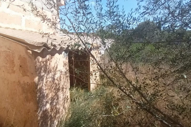 Urban plot with storage room in central location of Es Llombards — S 13 — photo 4