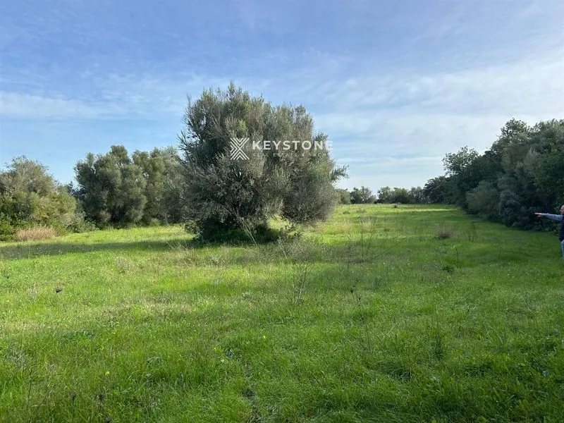 Plot — photo 1