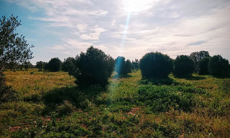 Large Country Plot near Campos — photo 2