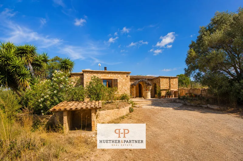Self-sufficient 3,551 m² finca with 3 bedrooms, terrace and pool for sale — photo 4