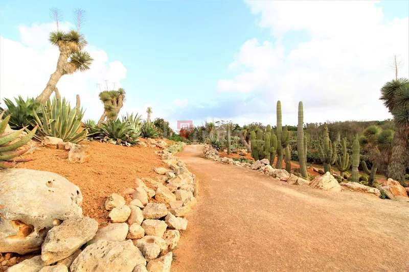 Building for sale – Ses Salines (Mallorca) — photo 10