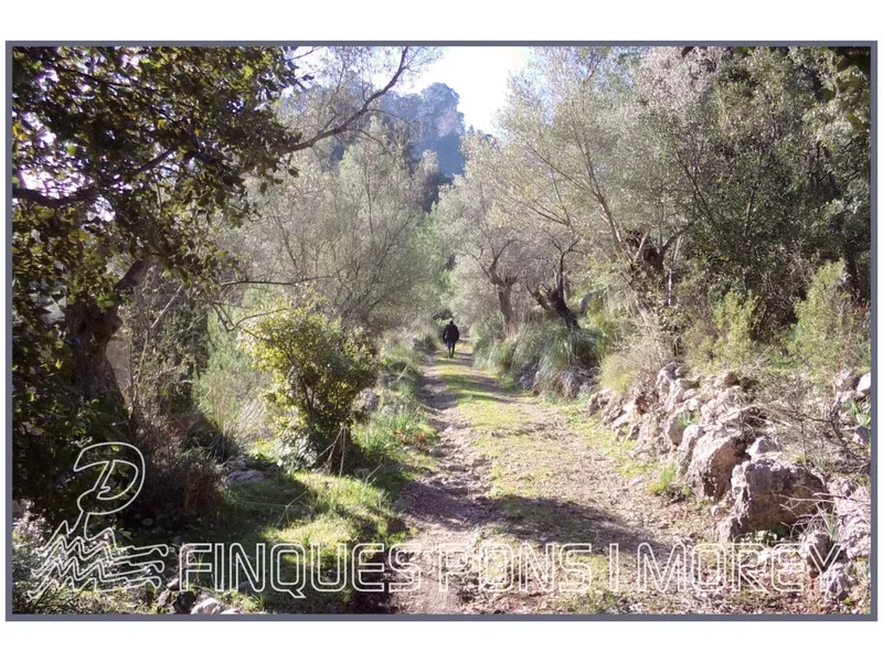 Land - Ref. [redacted] — photo 6