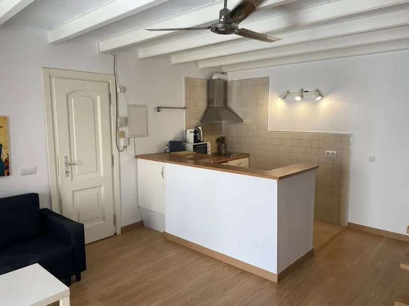 Unique Top Floor Duplex Apartment with Terrace in Santa Catalina — photo 3